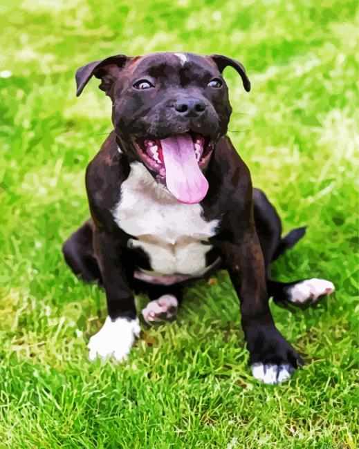 Aesthetic Staffordshire Bull Terrier Paint By Numbers.png