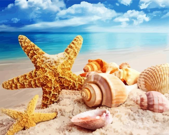 Aesthetic Starfishes Painting By Numberss.png