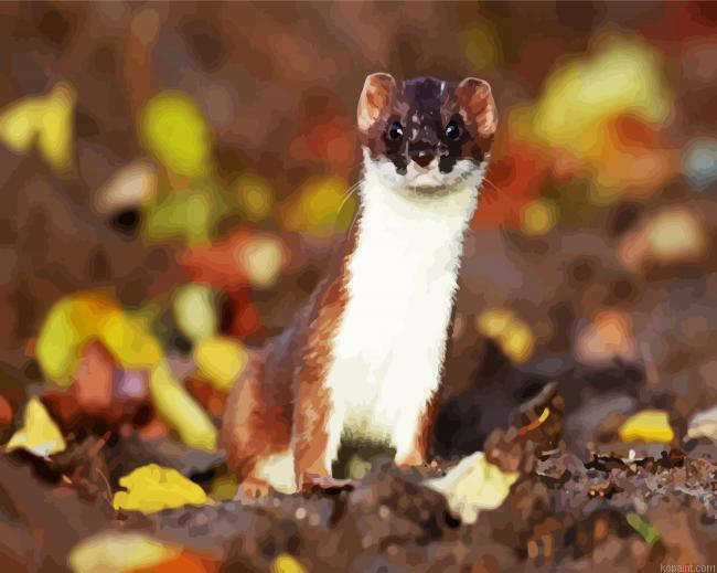 Aesthetic Stoat Animal Painting By Numberss.png