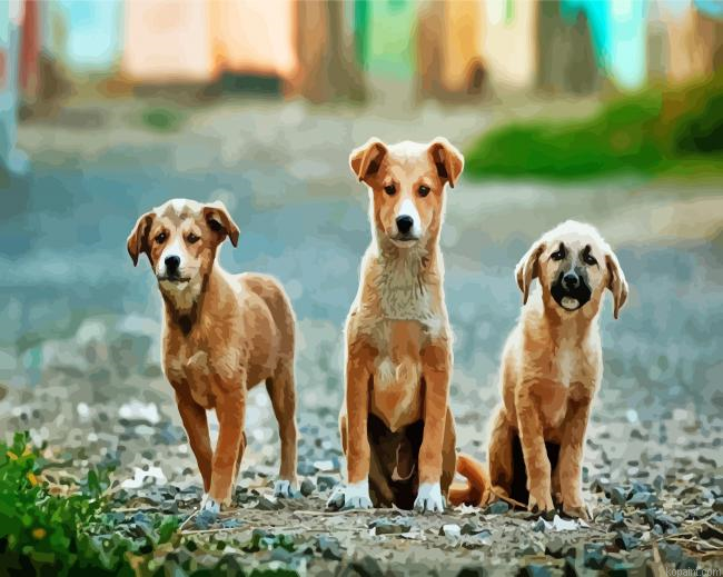 Aesthetic Street Dog Painting By Numberss.png