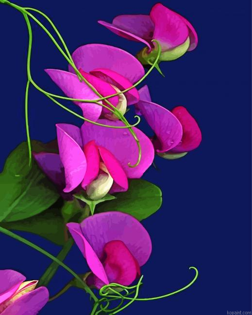 Aesthetic Sweet Pea Flower Painting By Numberss.png