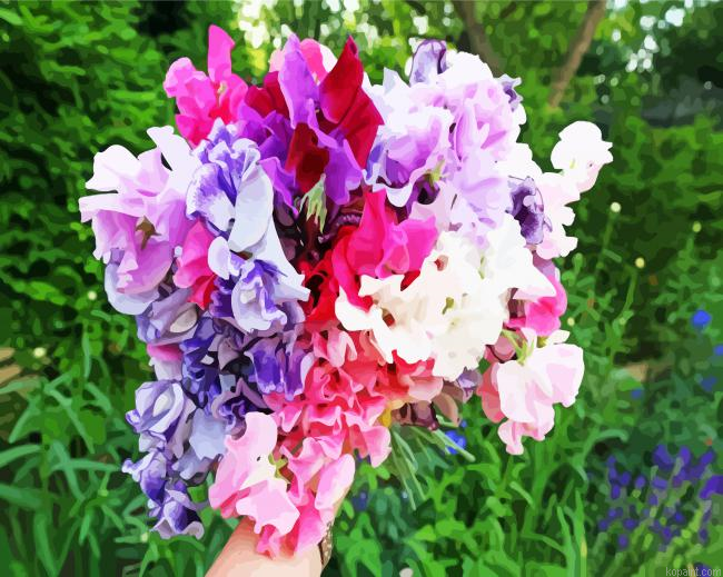 Aesthetic Sweet Pea Painting By Numberss.png