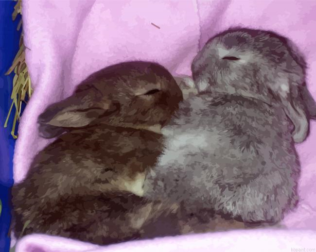 Aesthetic Two Grey Rabbits Painting By Numberss.png