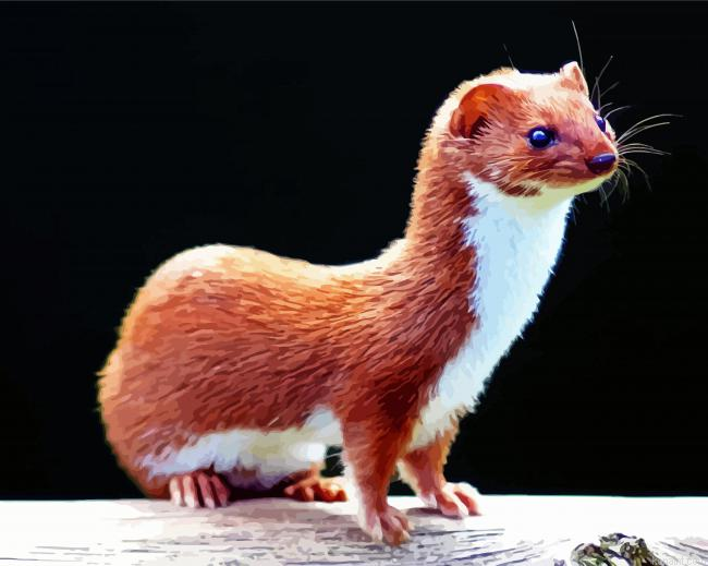 Aesthetic Weasel Animal Painting By Numberss.png