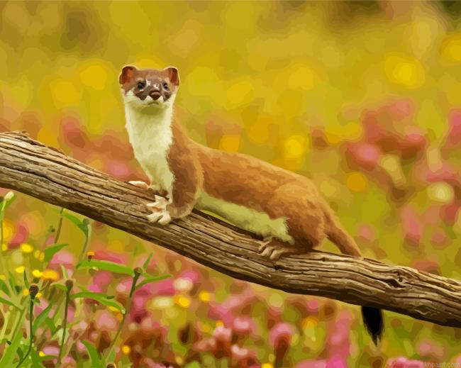 Aesthetic Weasel Painting By Numberss.png