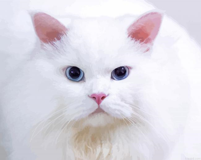 Aesthetic White Persian Cat Painting By Numberss.png