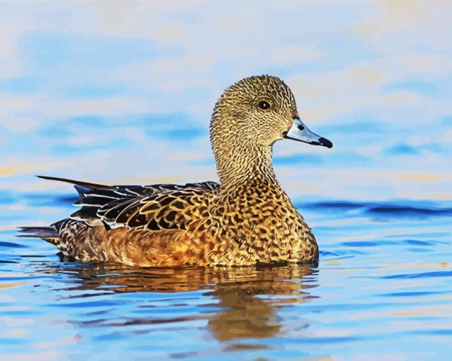 Aesthetic Wigeon Bird Animal Painting By Numberss.png