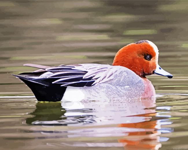 Aesthetic Wigeon Bird Painting By Numberss.png