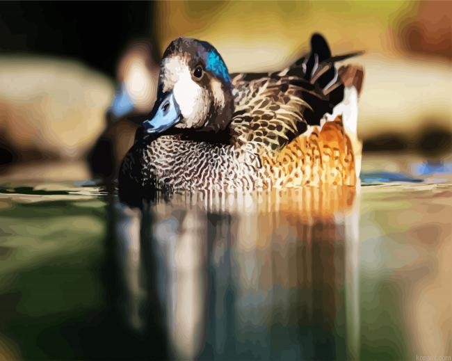 Aesthetic Wigeon Paint By Numbers.png