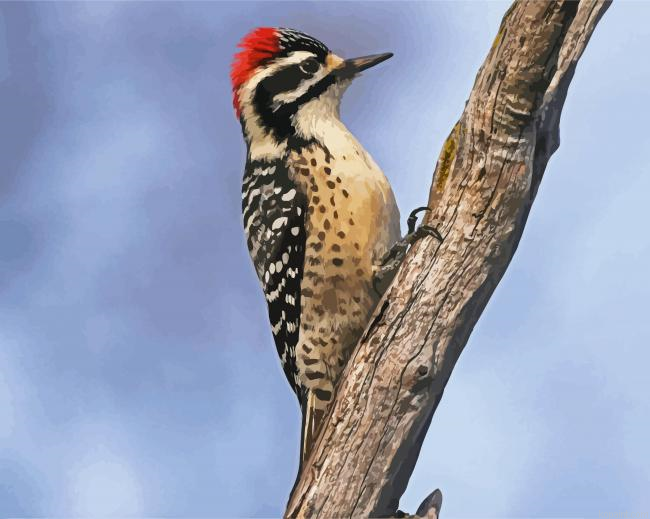 Aesthetic Woodpecker Bird Painting By Numberss.png