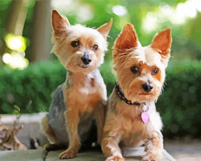Aesthetic Yorkies Painting By Numberss.png