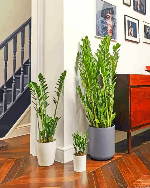Aesthetic Zamioculcas Plants Paint By Numbers.png