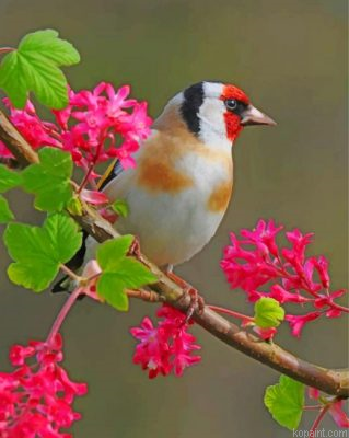 Aesthetic Goldfinch Bird Painting By Numberss.png