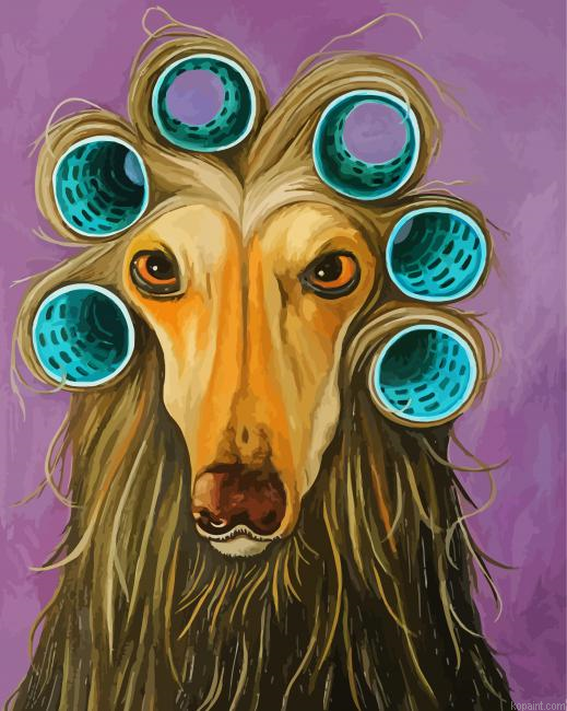 Afghan Hound Painting By Numberss.png