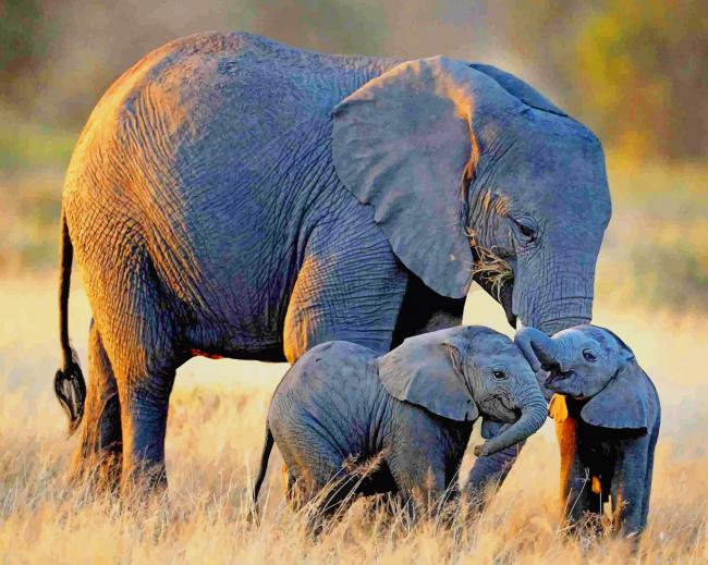 African Elephants New Painting By Numberss.png