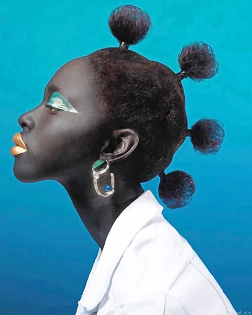 African Stylish Hair New Painting By Numberss.png