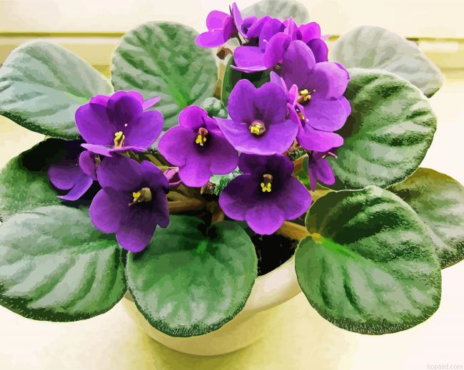 African Violet Flowers Painting By Numberss.png