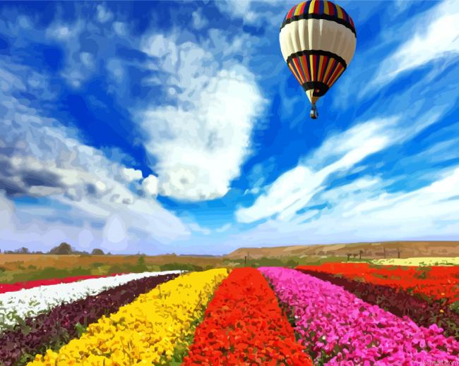 Air Balloon Over Colorful Flowers Field Painting By Numberss.png