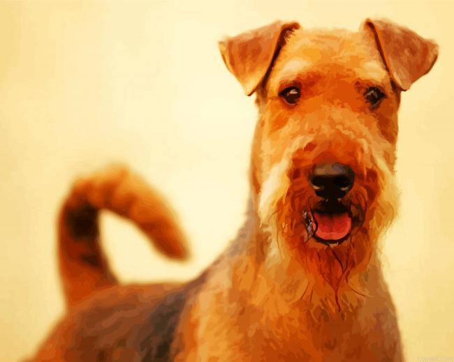 Airedale Terrier Animal Painting By Numberss.png