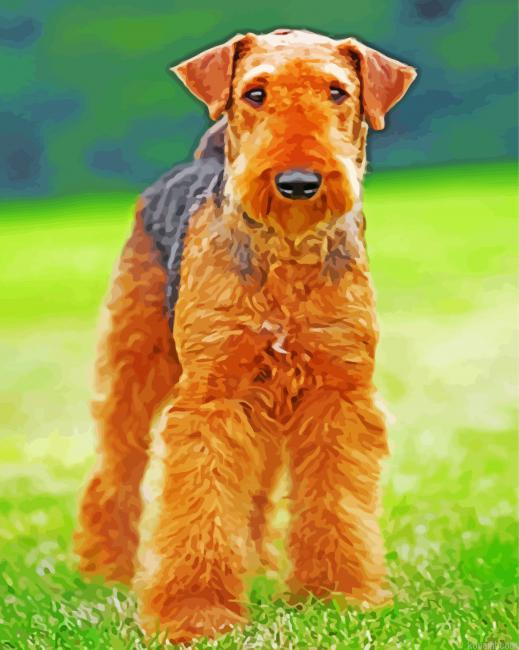 Airedale Terrier Brown Dog Painting By Numberss.png