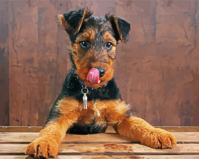 Airedale Terrier Dog Painting By Numberss.png