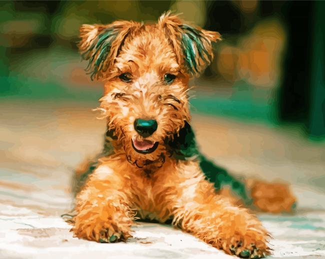 Airedale Terrier Painting By Numberss.png
