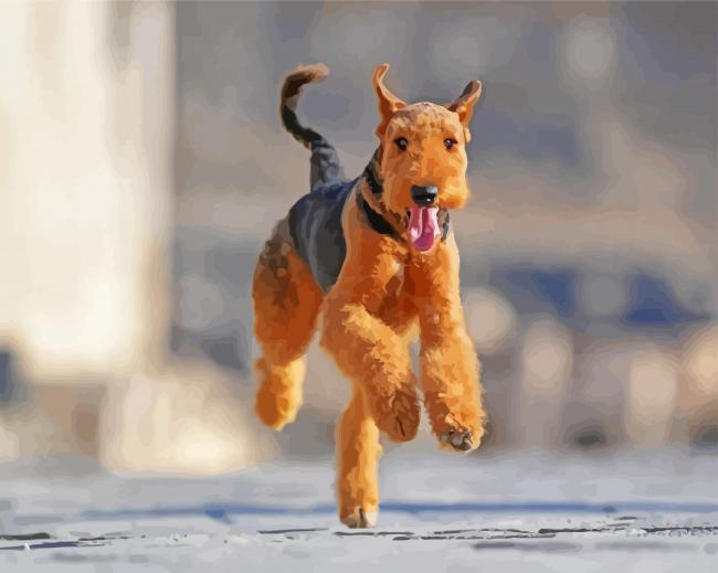 Airedale Terrier Running Painting By Numberss.png