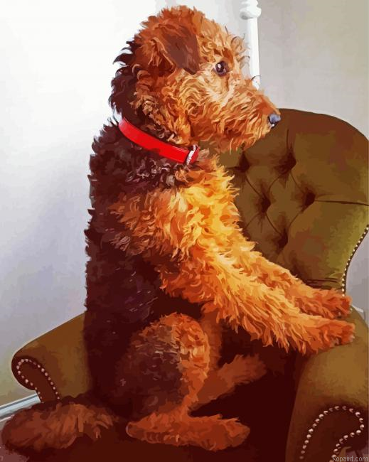 Airedale Terrier Sitting Painting By Numberss.png