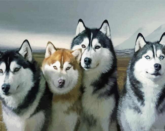Alaskan Huskies Painting By Numberss.png