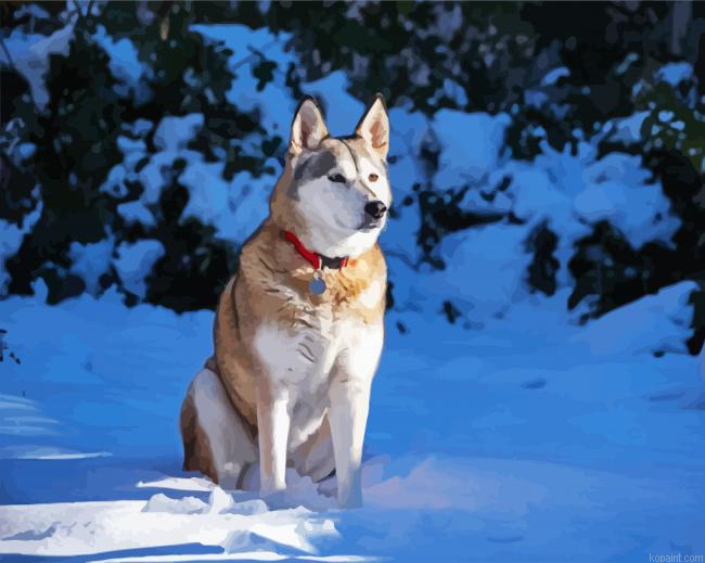 Alaskan Husky Dog Animal Painting By Numberss.png