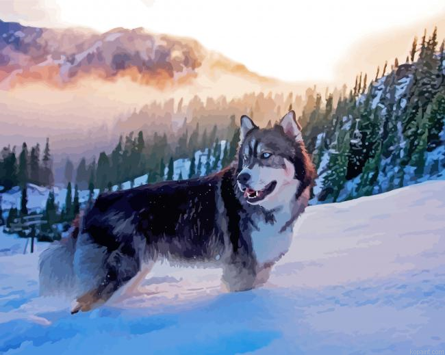 Alaskan Husky Dog Painting By Numberss.png