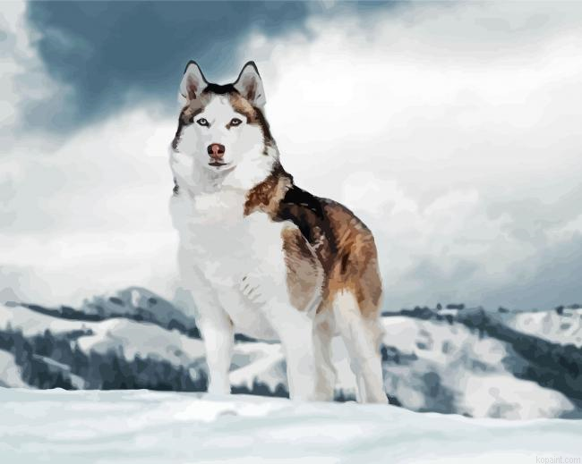 Alaskan Husky Painting By Numberss.png