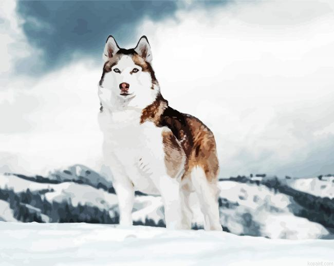 Alaskan Husky Puppy Animal Paint By Numbers