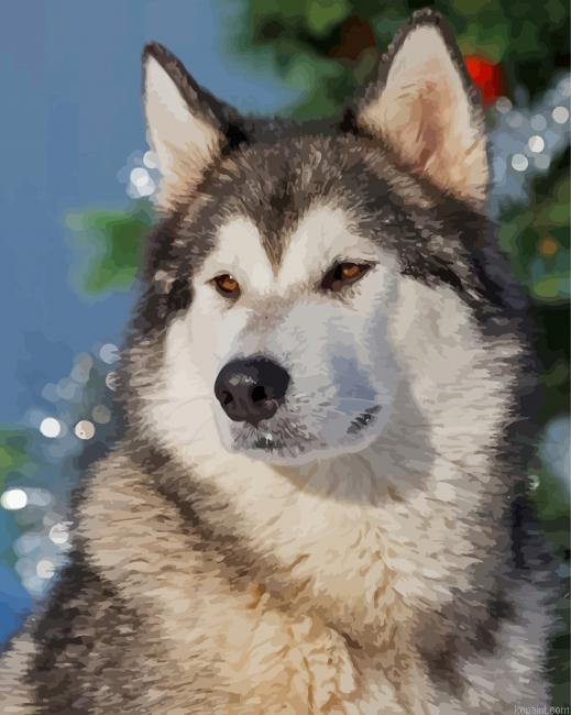 Alaskan Malamute Painting By Numberss.png