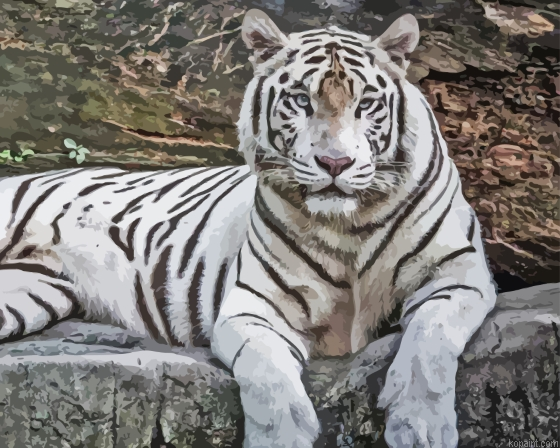 Albino Tiger Painting By Numberss.png