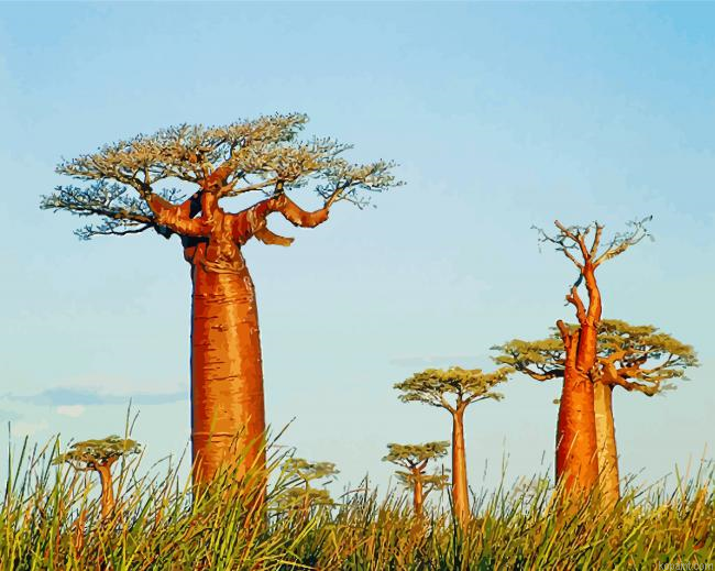 Alley Of The Baobabs Madagascar Painting By Numberss.png