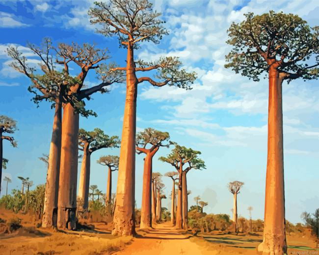 Alley Of The Baobabs Painting By Numberss.png