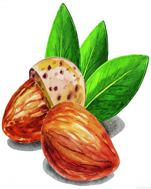 Almond Paint By Numbers.png