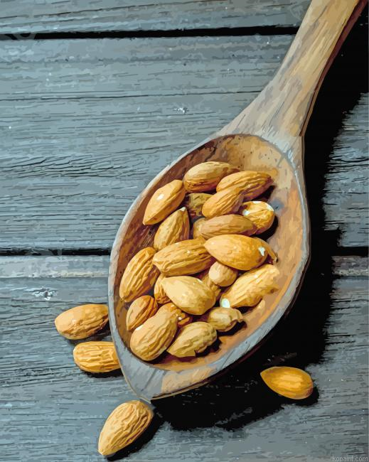 Almond Spoon Paint By Numbers.png