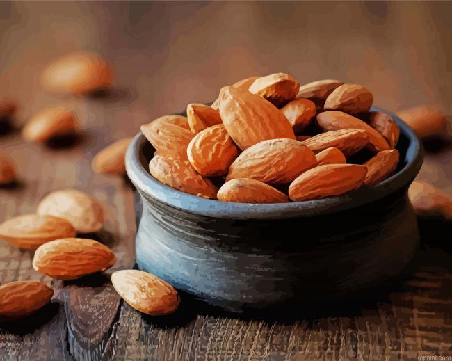 Almonds In A Jar Painting By Numberss.png