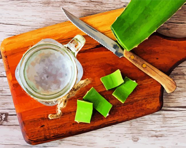 Aloe Vera Liquid Painting By Numberss.png