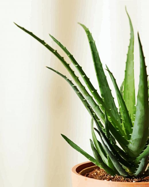 Aloe Vera Painting By Numberss.png