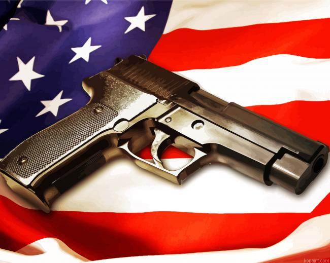 American Flag With Gun Painting By Numberss.png