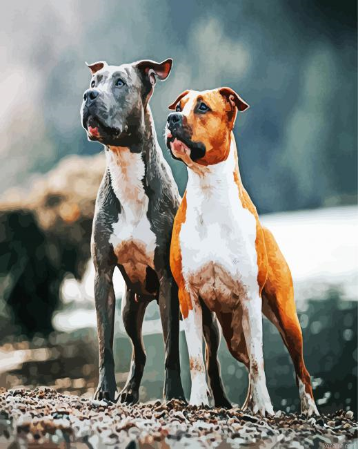 American Staffordshire Dogs Painting By Numberss.png