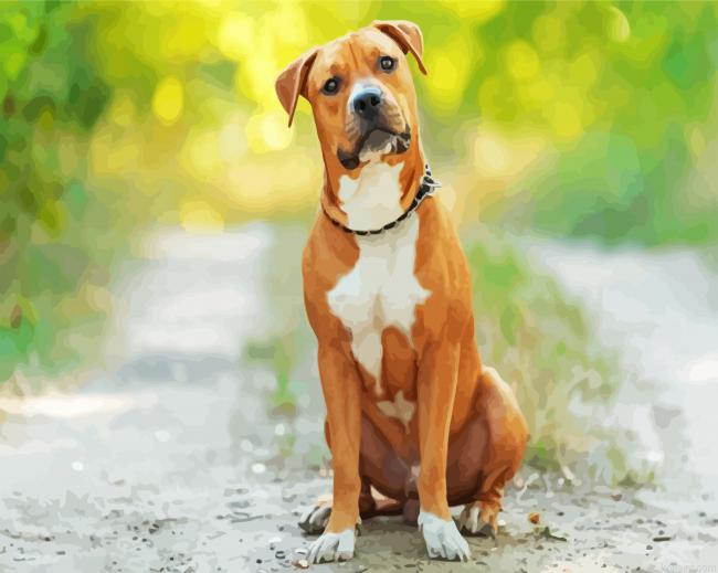 American Staffordshire Terrier Painting By Numberss.png