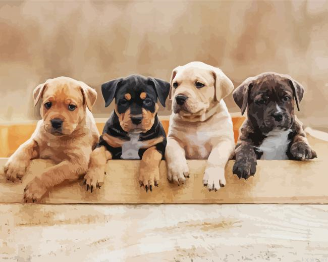 American Staffordshire Terrier Puppies Painting By Numberss.png