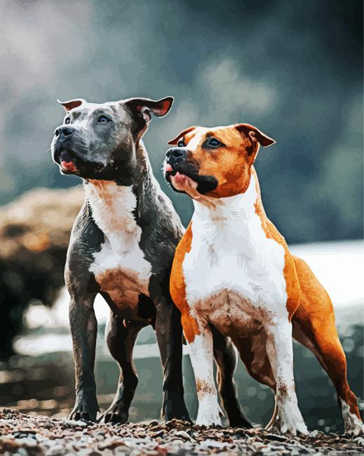 American Staffordshire Terrier Dogs Painting By Numberss.png