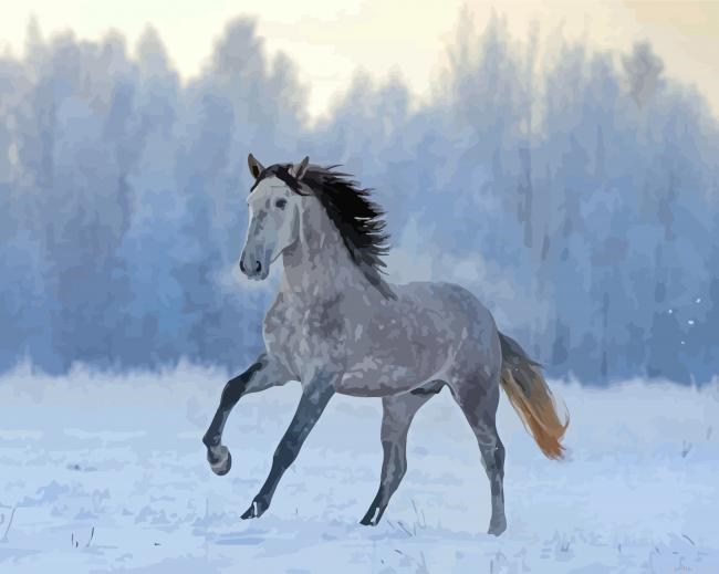Andalusian Horse In The Snow Painting By Numberss.png