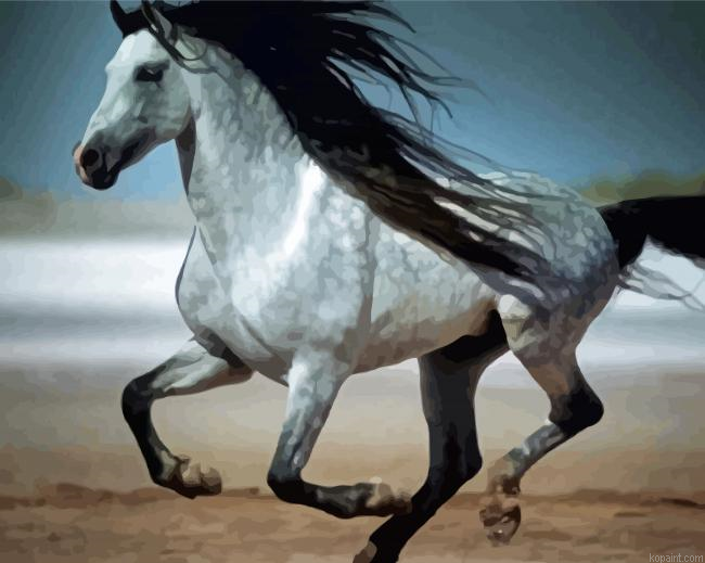 Andalusian Horse Running Painting By Numberss.png