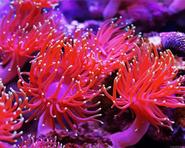 Anemones Pink Painting By Numberss.png